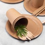 Disposable Products for Modern Living