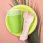 Everyday Disposable Picks: Your Complete Guide to Smart, Practical & Eco-Friendly Choices